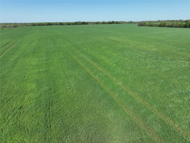 1 County Road 26850, Home with 0 bedrooms, 0 bathrooms and null parking in Petty TX | Image 8