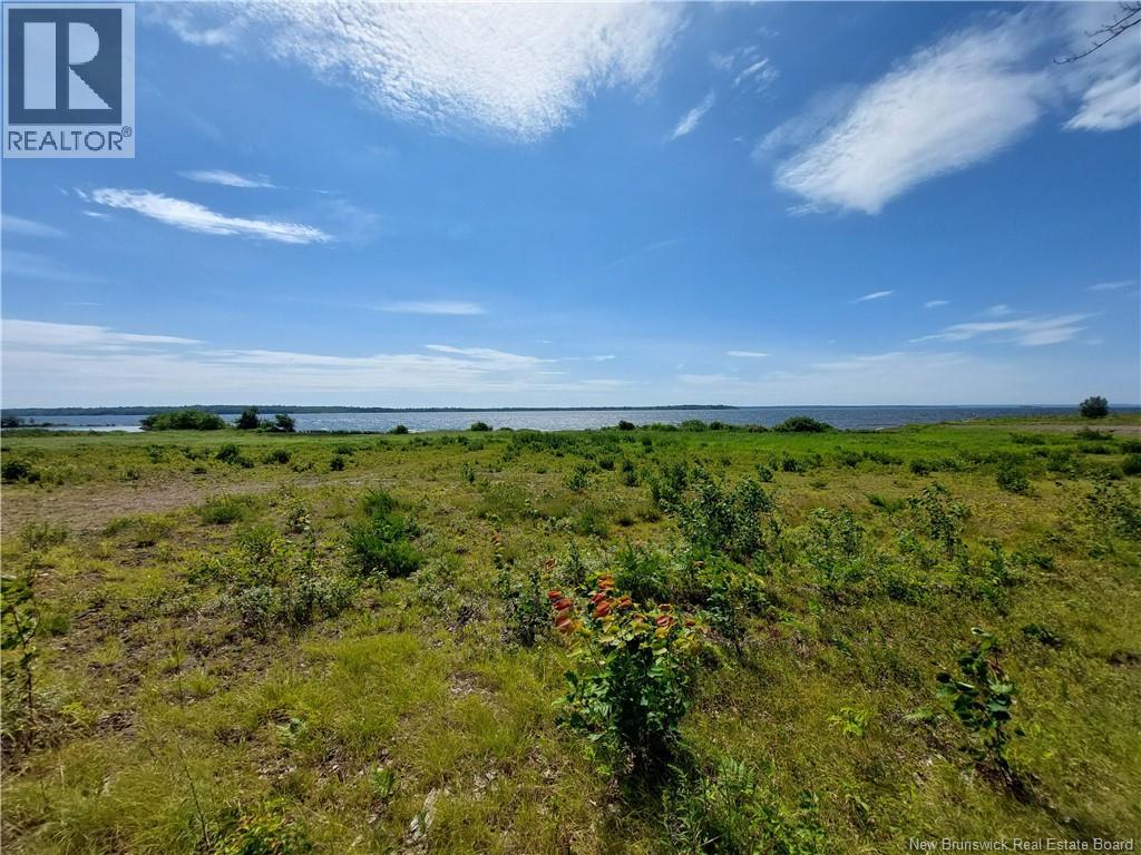 Land in Newcastle Creek 4