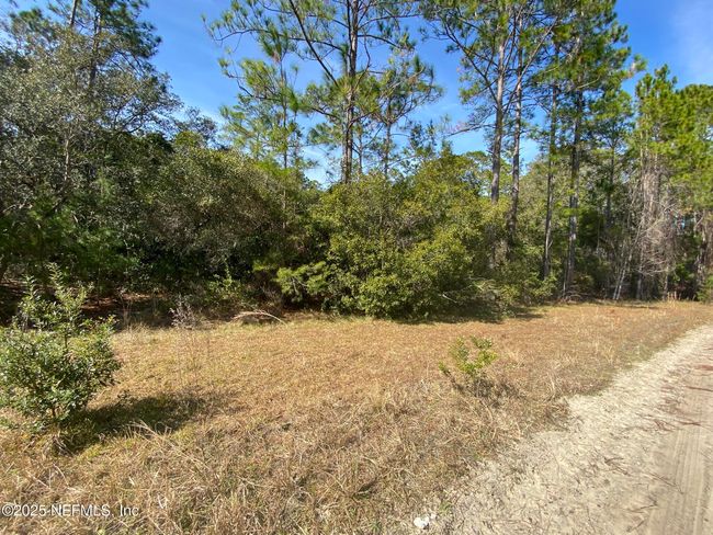 103 Dolphin Dr, Home with 0 bedrooms, 0 bathrooms and null parking in GEORGETOWN FL | Image 4