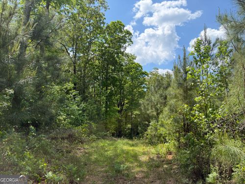 005 George Milling Rd, Cuthbert, GA, 39840-5144 | Card Image