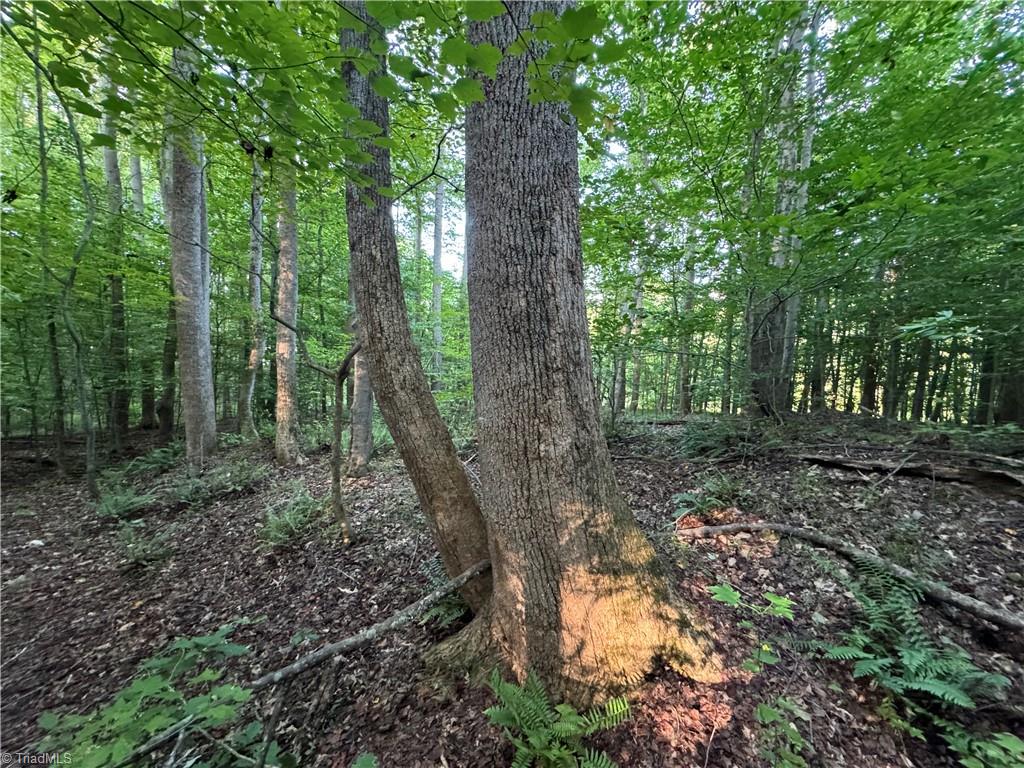 Land in Reidsville 4