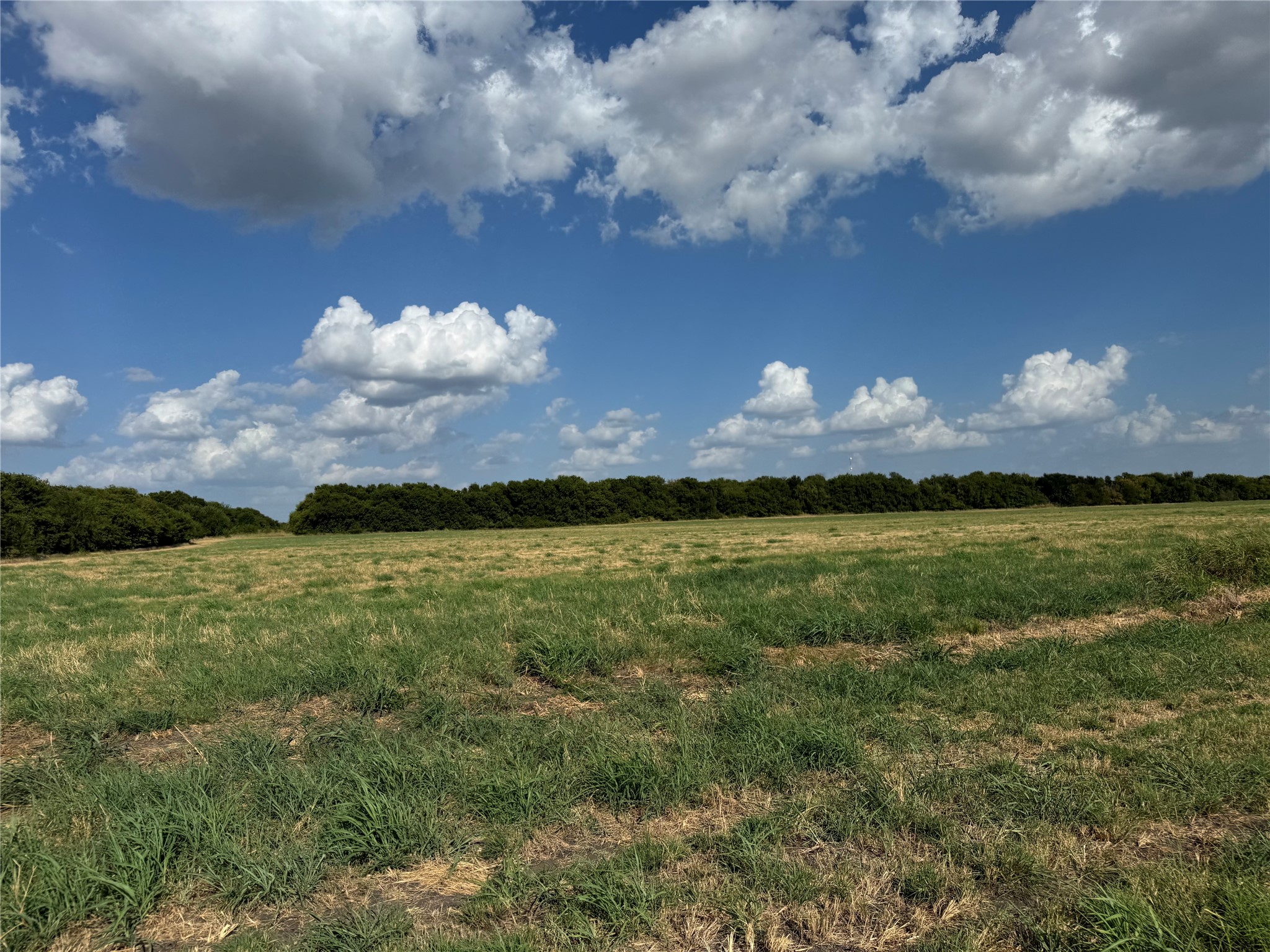 Land in Leonard 3