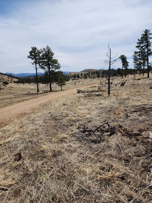 377 Color Sweet Dr, Cotopaxi, CO, 81223 | Card Image