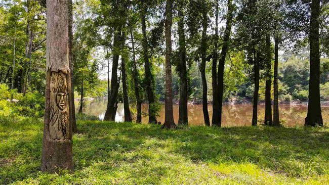 000 Highway 96 Byp, Home with 0 bedrooms, 0 bathrooms and null parking in Silsbee TX | Image 30