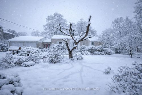 10773 Lakeshore Rd, Wainfleet, ON, L0S1V0 | Card Image