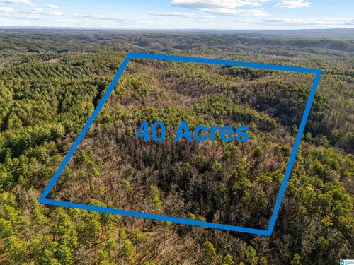 0-40 Acres County Road 202, Piedmont, AL, 36272 | Card Image
