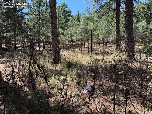 5630 Jarman Street, Colorado Springs, CO, 80906 | Card Image