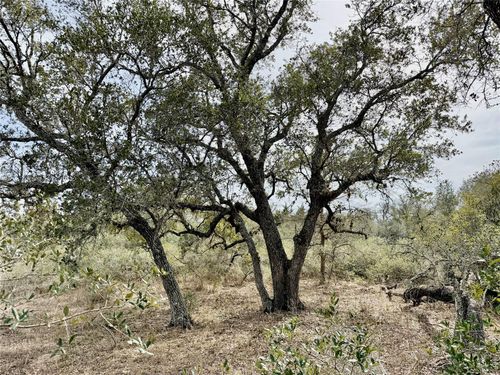 19.88 acres Friar Rd, Cuero, TX, 77954 | Card Image