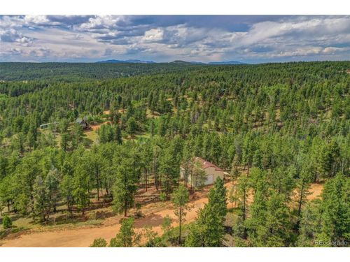 449 Woody Creek Rd, Florissant, CO, 80816 | Card Image