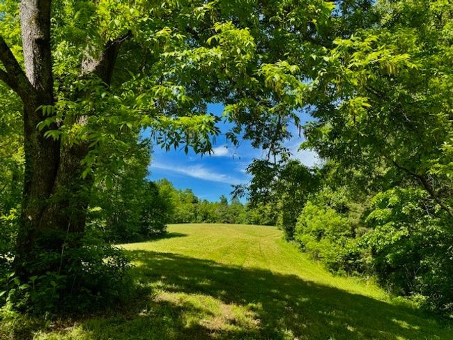 132 Normandy Tullahoma Rd, Home with 0 bedrooms, 0 bathrooms and null parking in Normandy TN | Image 45