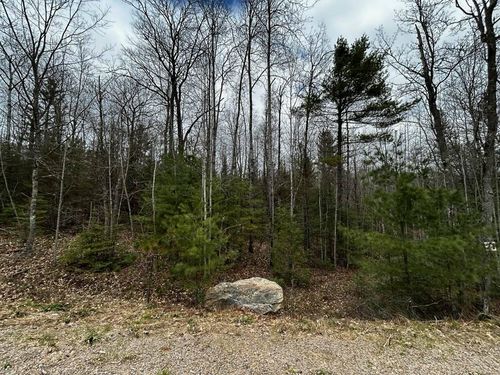 Lot 21 Butternut Cir, Eagle River, WI, 54521-7370 | Card Image