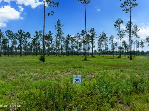 25 Cattle Drive, Rocky Point, NC, 28457 | Card Image