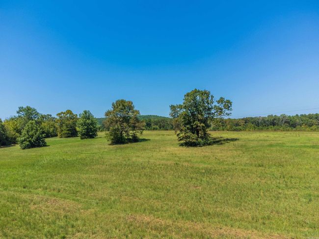 00 Boone Ln, Home with 0 bedrooms, 0 bathrooms and null parking in Bee Branch AR | Image 11