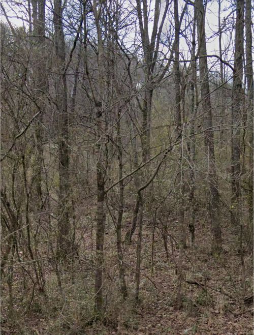 4957 Tranham Rd, WHITES CREEK, TN, 37189-9070 | Card Image