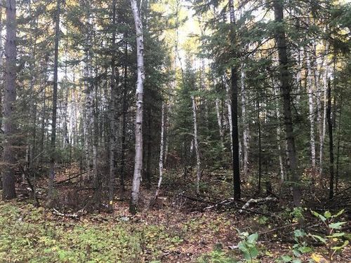 TBD Highway 5, Cook, MN, 55723 | Card Image