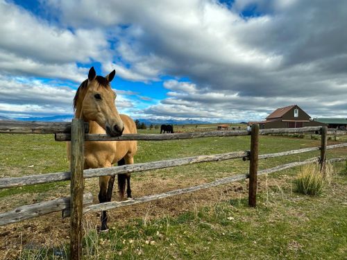 105 Flint Creek, Ramsay, MT, 59748 | Card Image