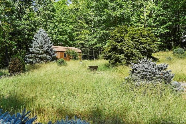Private yard | Image 31