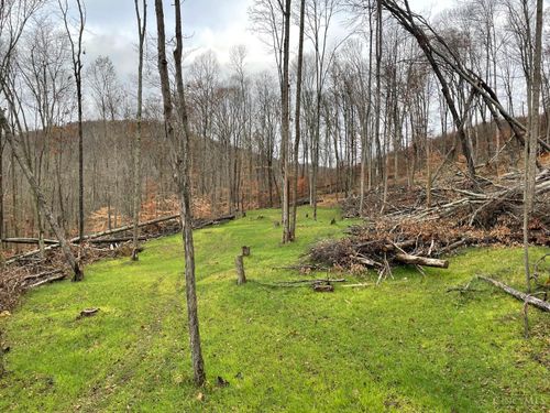 ac Beech Fork Rd, Otway, OH, 45657 | Card Image
