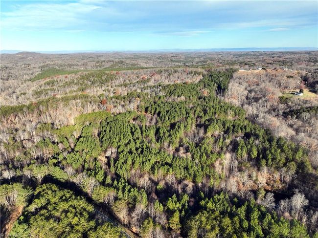 Lot 2- 0 Bowen Rd, Home with 0 bedrooms, 0 bathrooms and null parking in Pinnacle NC | Image 10