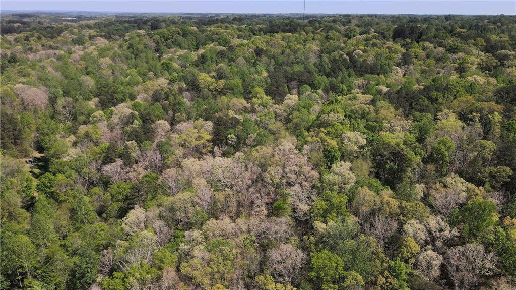 Land in Toccoa 4