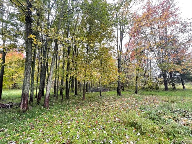 3148 Oneil Rd, House other with 2 bedrooms, 2 bathrooms and null parking in Kenockee MI | Image 63