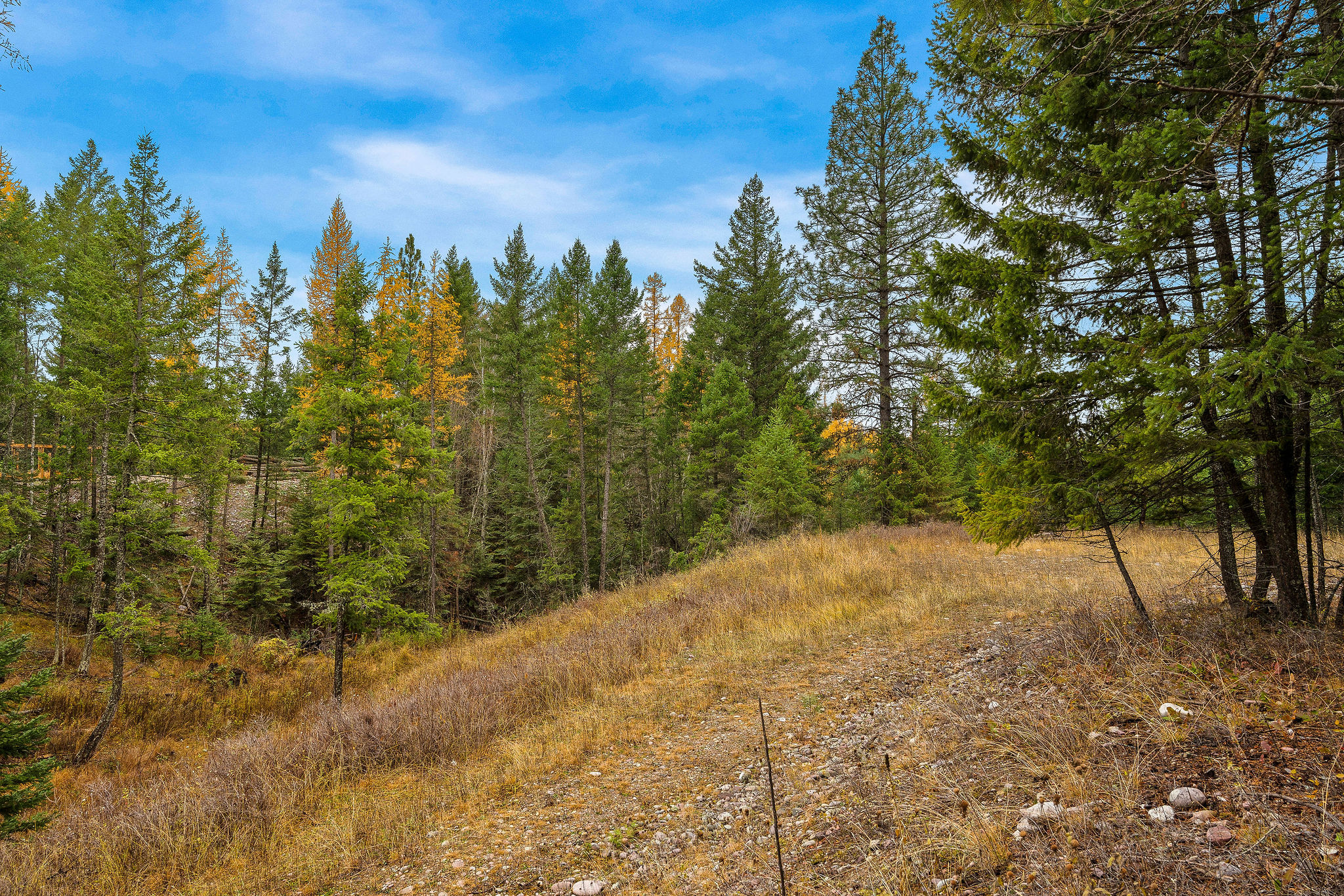 Land in Kalispell 2