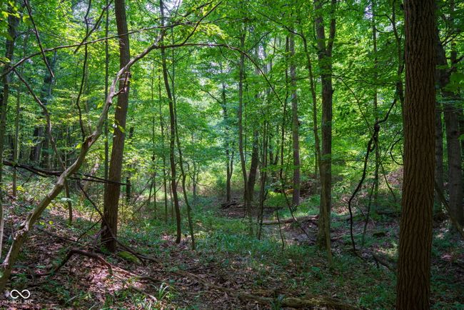 1000 N County Road 825 W, Home with 0 bedrooms, 0 bathrooms and null parking in Medora IN | Image 13