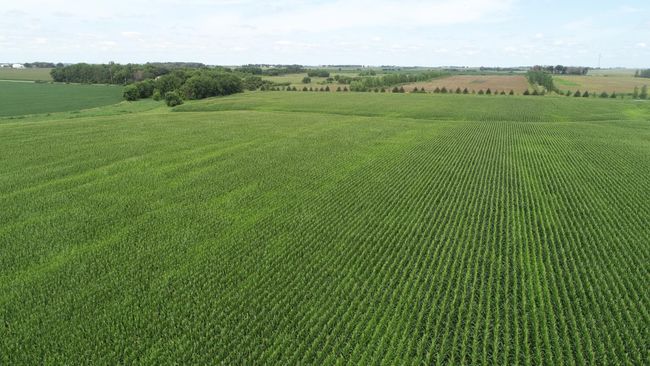 DJI_0811.JPG | Image 13