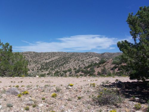 56 Camino De Las Brisas, Placitas, NM, 87043-8648 | Card Image