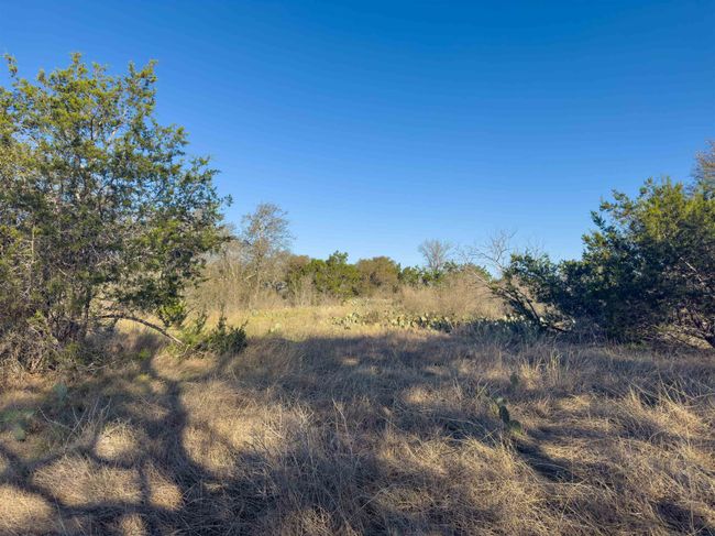 Lot 196 Marble Falls Ct, Home with 0 bedrooms, 0 bathrooms and null parking in Spicewood TX | Image 7