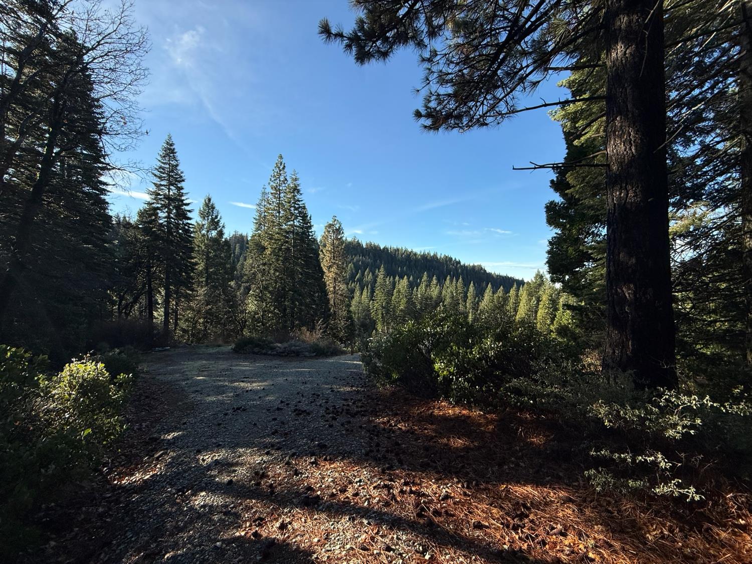 Land in Nevada City 5