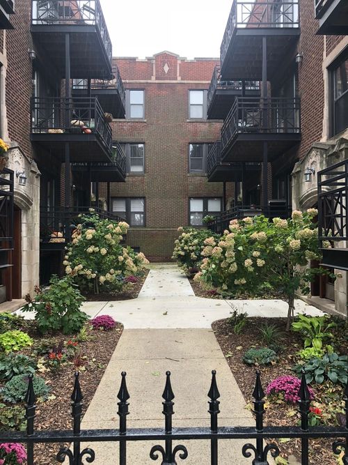 apt-1s-1155 W Grace St, Chicago, IL, 60613-2850 | Card Image