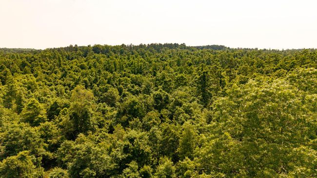 Cabin on 13 acres008 | Image 30
