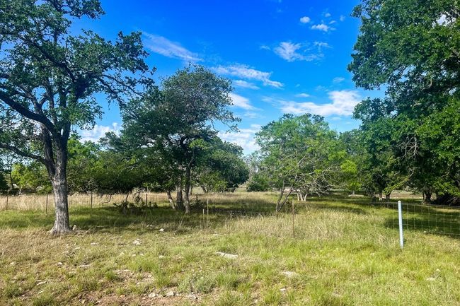 556 Cliff View Loop, Home with 6 bedrooms, 7 bathrooms and null parking in Harper TX | Image 58