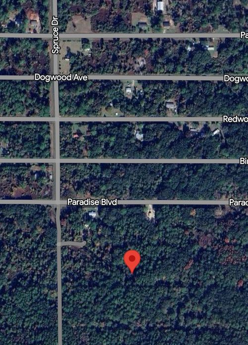 312 Laisy Dr, Georgetown, FL, 32139 | Card Image