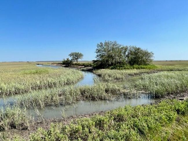 View of Copahee Sound from community | Image 49