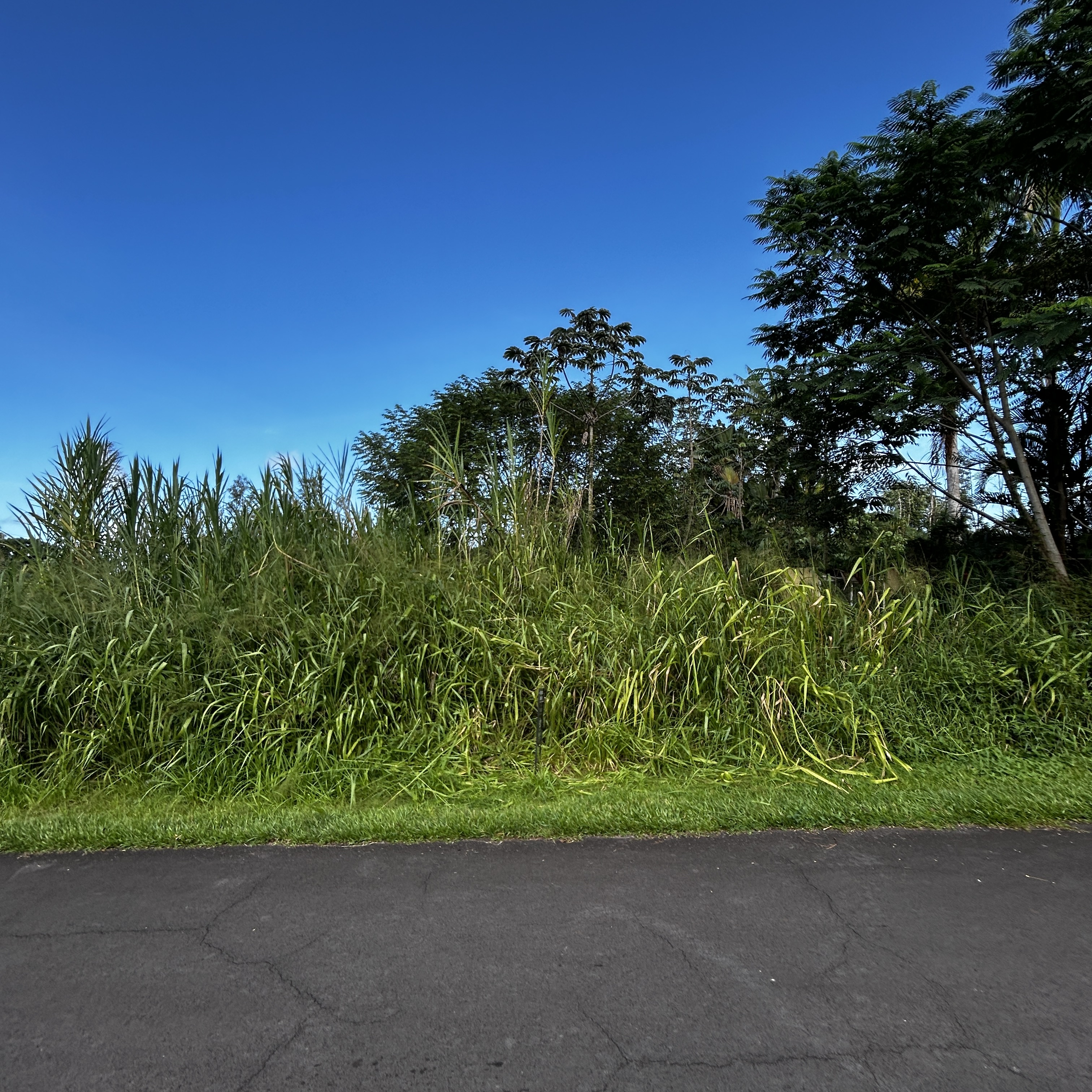 Land in Pahoa 3