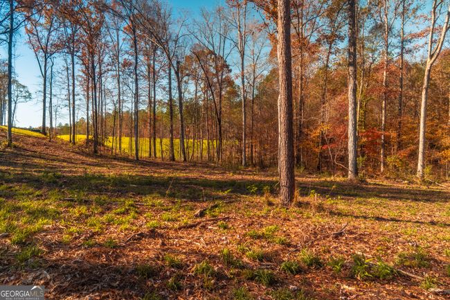 0 Old Dames Ferry Rd, Home with 0 bedrooms, 0 bathrooms and null parking in Juliette GA | Image 4