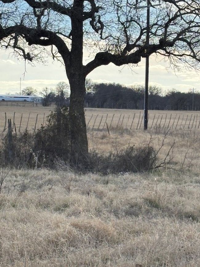 View of yard featuring a rural view | Image 4