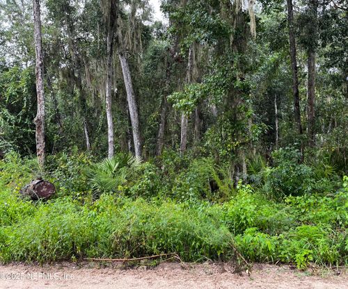 0 Woodlawn Rd, Satsuma, FL, 32189 | Card Image