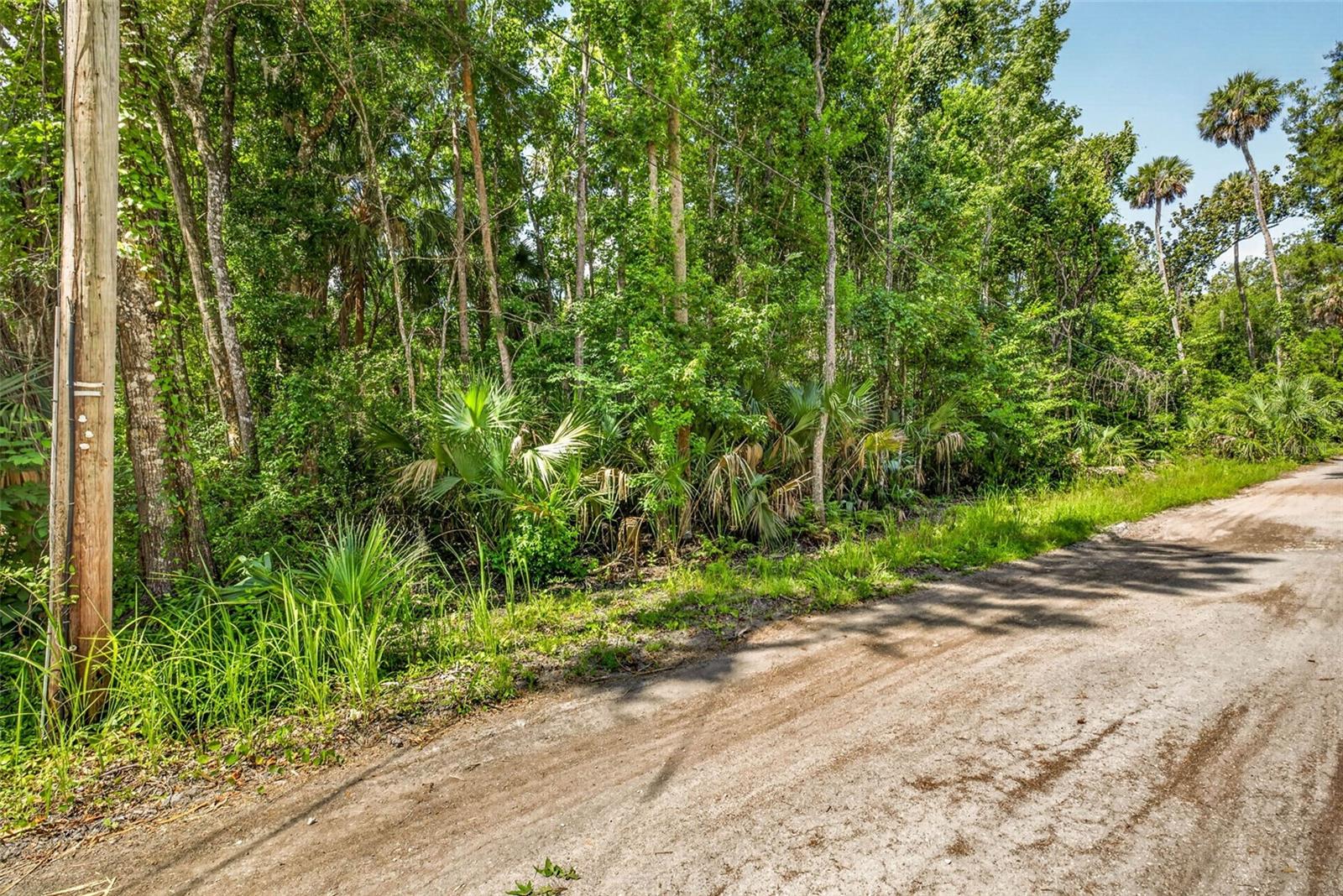 Land in HOMOSASSA 2