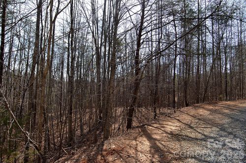 3-iv-00 Sundance Dr, Nebo, NC, 28761 | Card Image