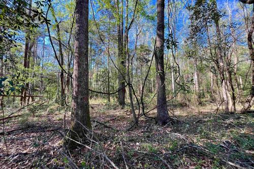 40 Lillian Ln, Ethel, LA, 70730 | Card Image