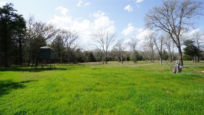 Back of property heading into wooded area | Image 32