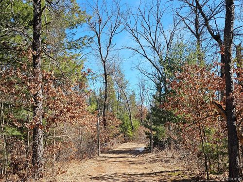 3770 Bovee Lake Road, Mills Township, MI, 48756 | Card Image