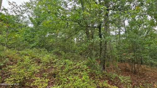 Lot 9 & 10 Cleora Murray Dr, Aiken, SC, 29801-8907 | Card Image