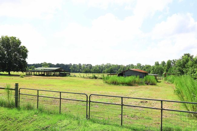 View of yard with a rural view | Image 6