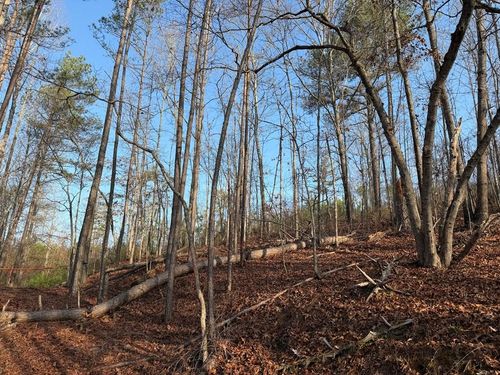 0 Lower Sweetwater Ln, Canton, GA, 30114 | Card Image