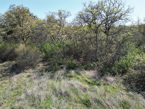 Lot 148 Hidden Shores Dr, Cisco, TX, 76437-1503 | Card Image