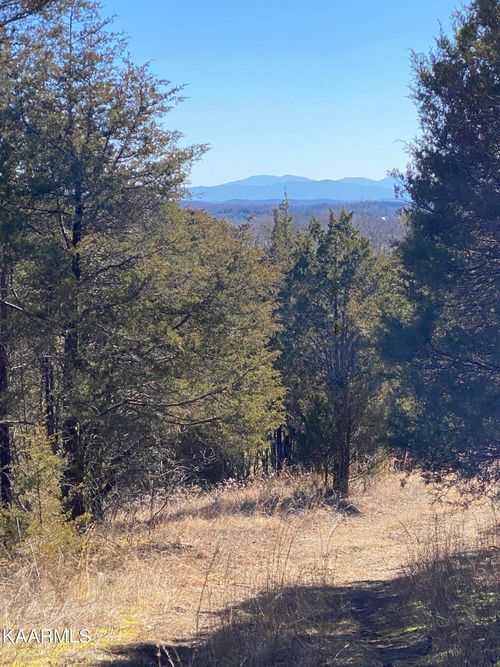 4632 Greeley Haun Rd, Russellville, TN, 37860-8647 | Card Image